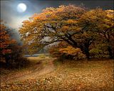 moon-fall.jpg image by Hazelnut111